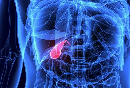 Gallbladder Pain Causes