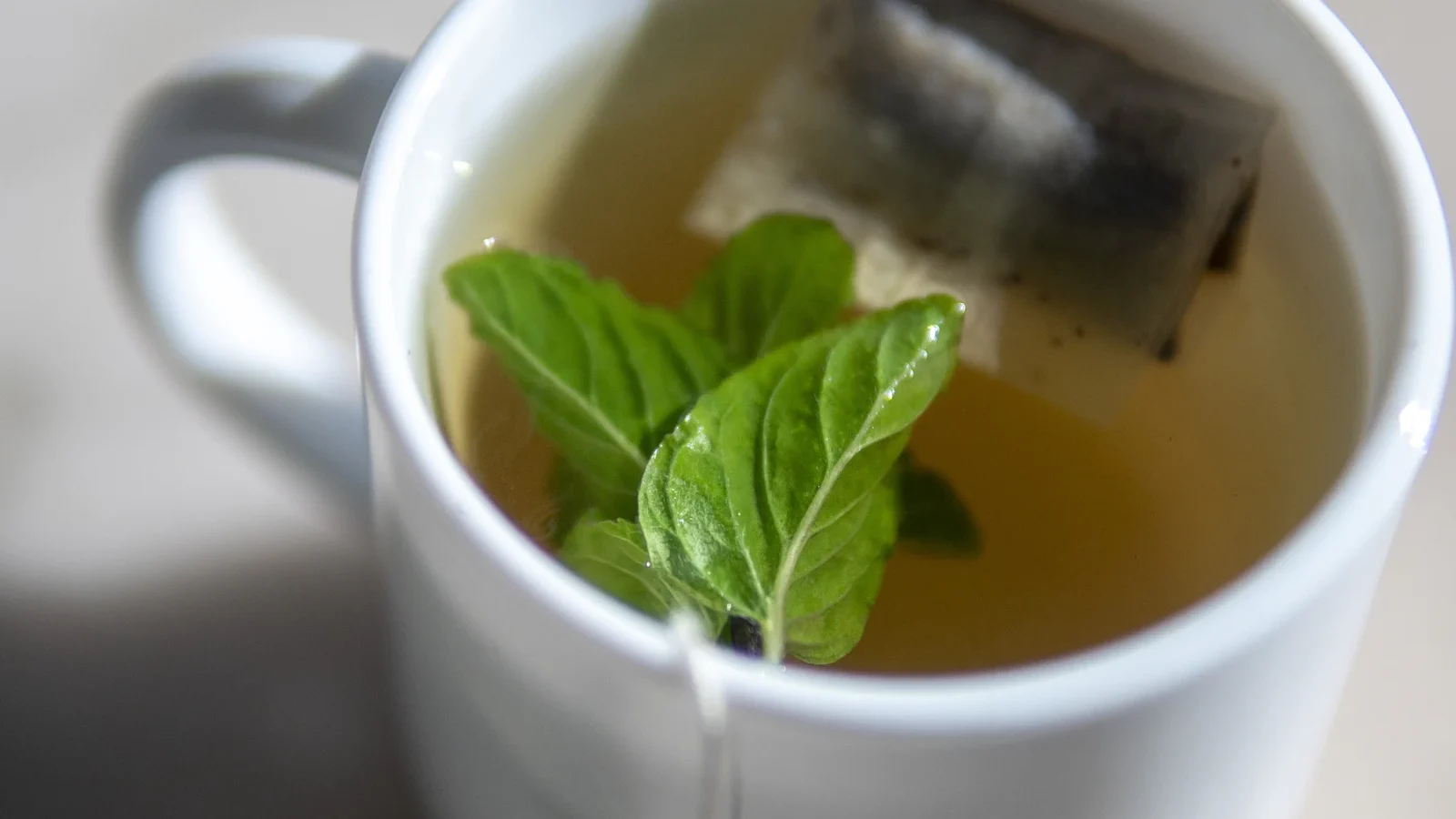 Cup of herbal tea with a fresh mint leaf