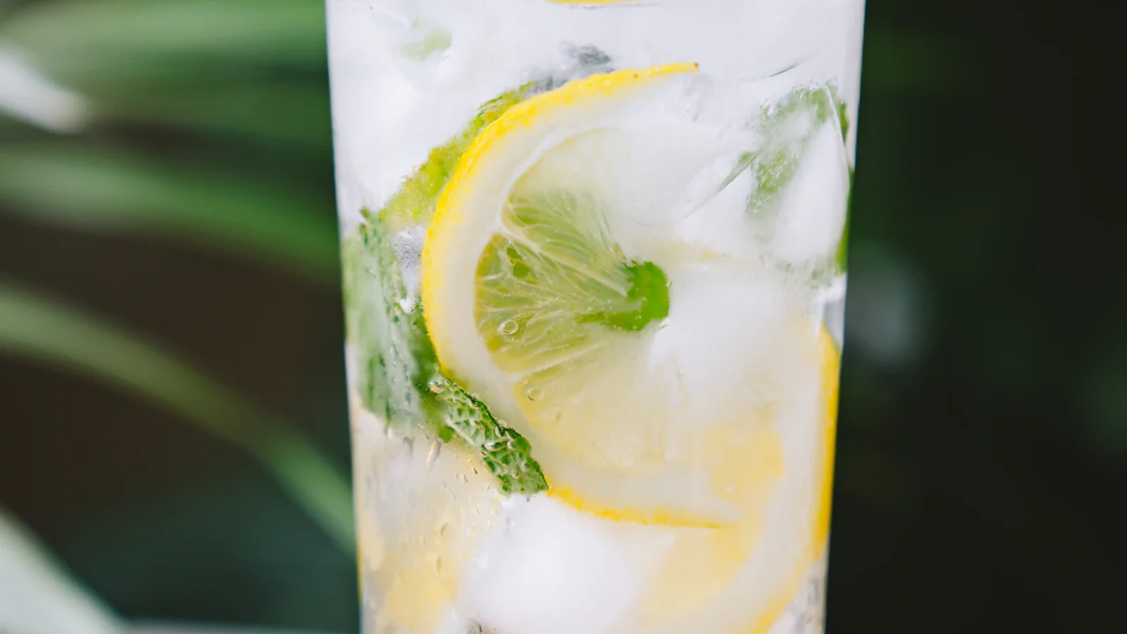 Clear glass of sparkling water with lemon slices, ice and mint