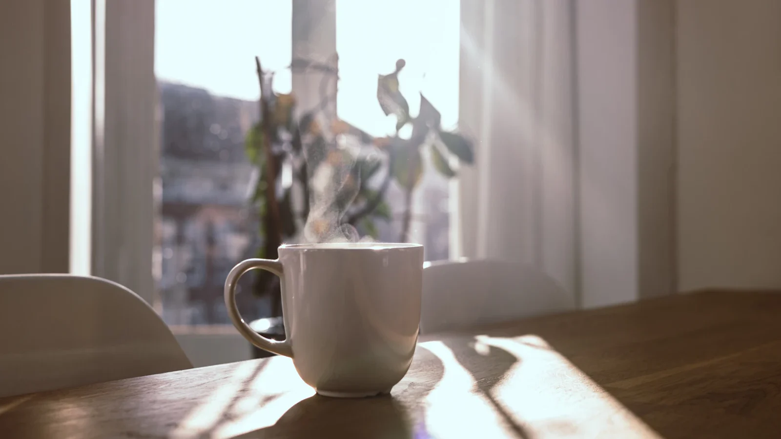 Steaming white mug on a table beside a sunny window