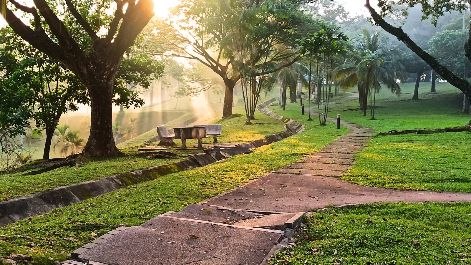 Sunlit park path with grass and trees